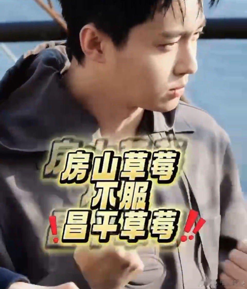 第一次见挑衅式文旅宣传 万万没想到文旅宣传能这么有梗！房山直接开启挑衅模式，草莓