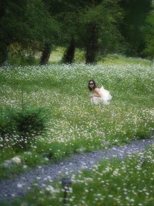 🌸想要一个全是花的评论区～🌸