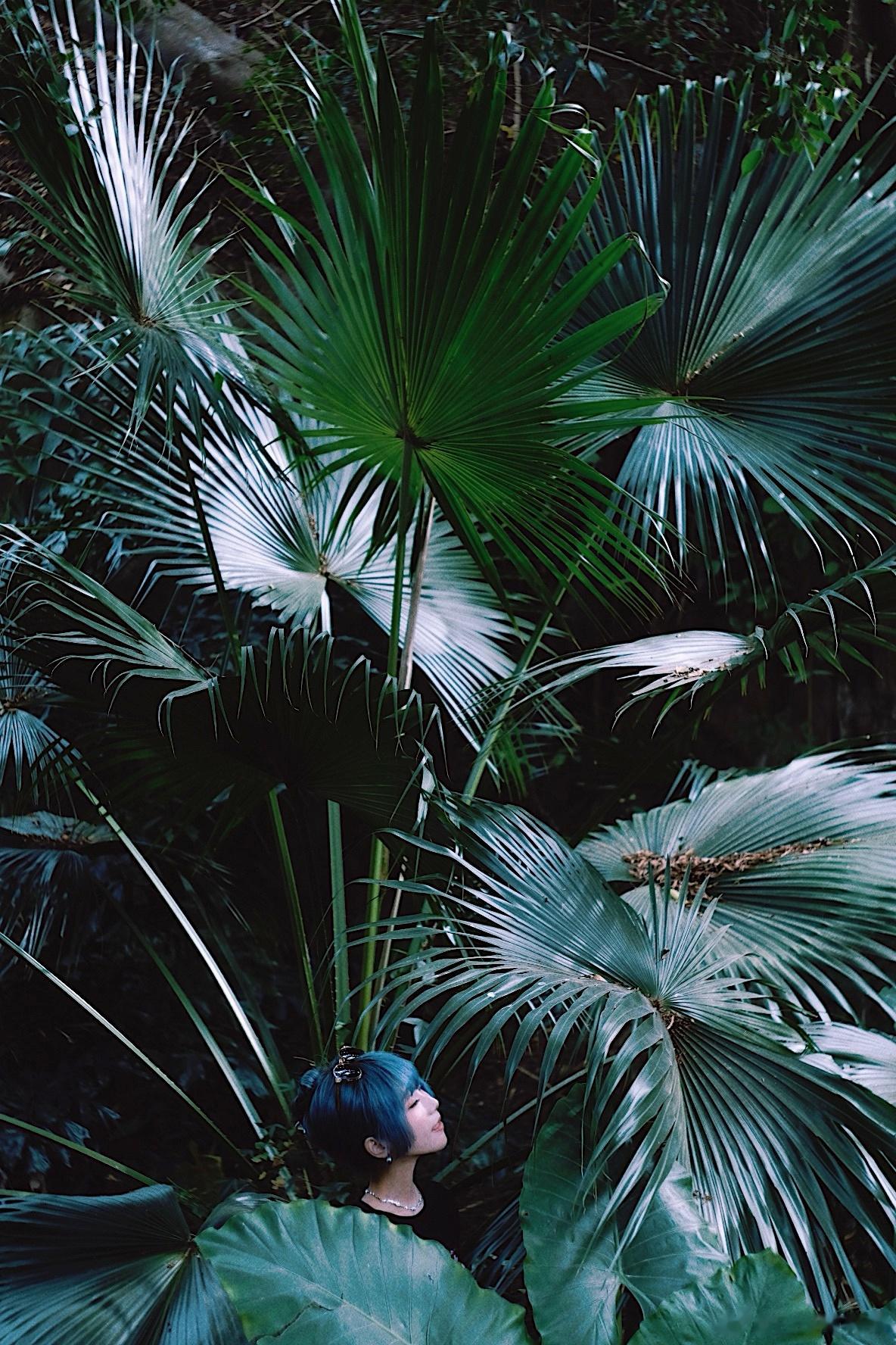 厦门植物园拍了组我妈喜欢的内种做作写真，有人评价你一美就不好笑了，放心，这只是偶