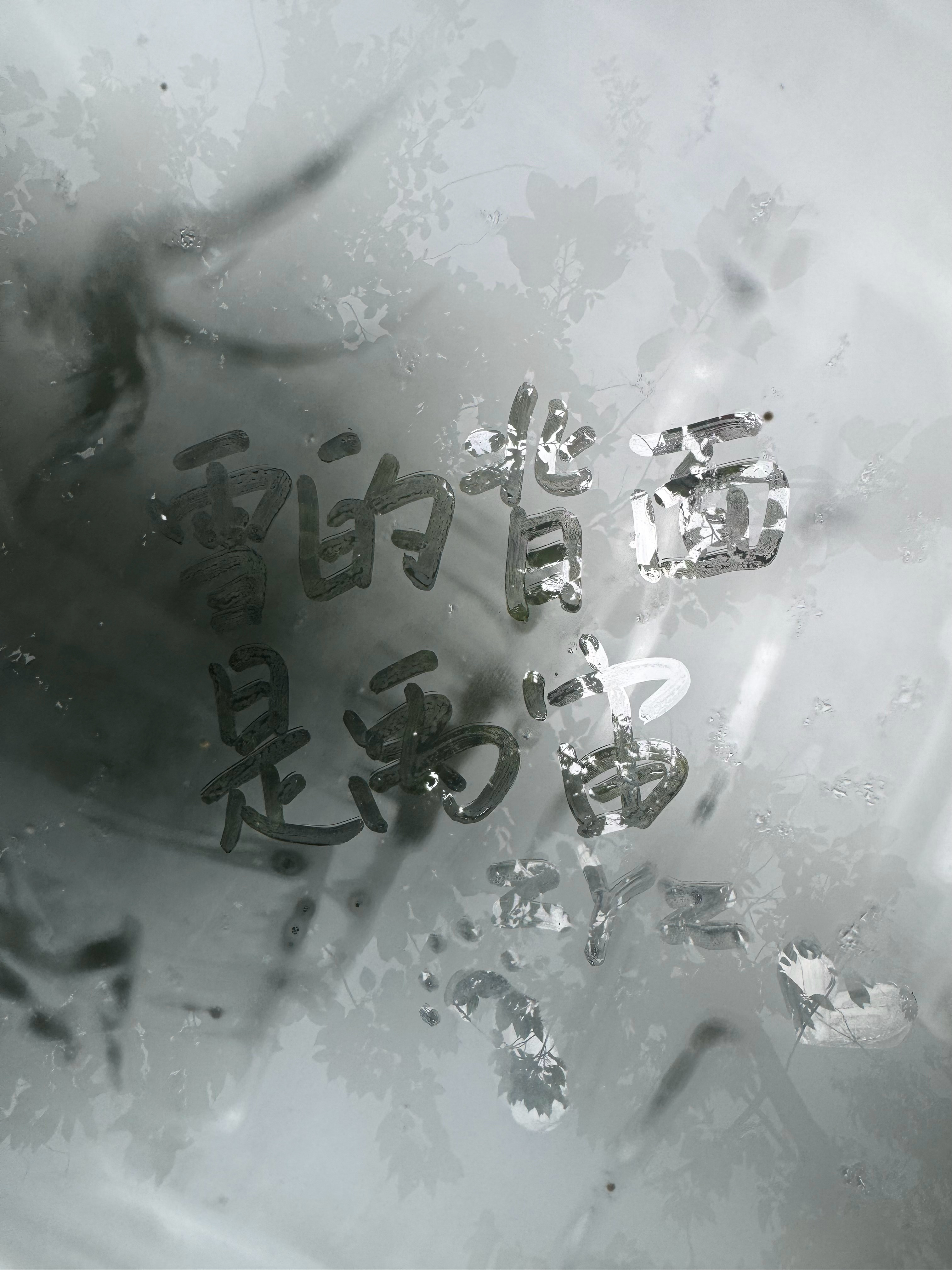 小小书法家