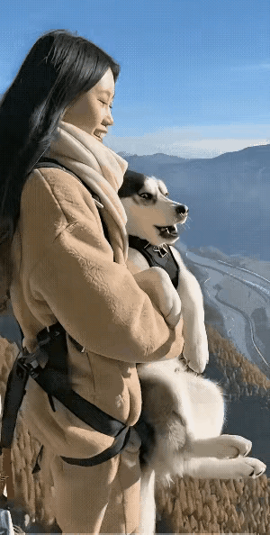 漂亮的小姐姐遭到男友抛弃后，带着不离不弃的二哈去蹦极，她想通过这种极端的方式开启