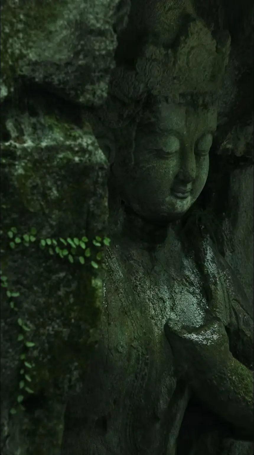 你无法用眼睛去分辨一个人，你强看到的全是人品，你弱看到的全是人性。