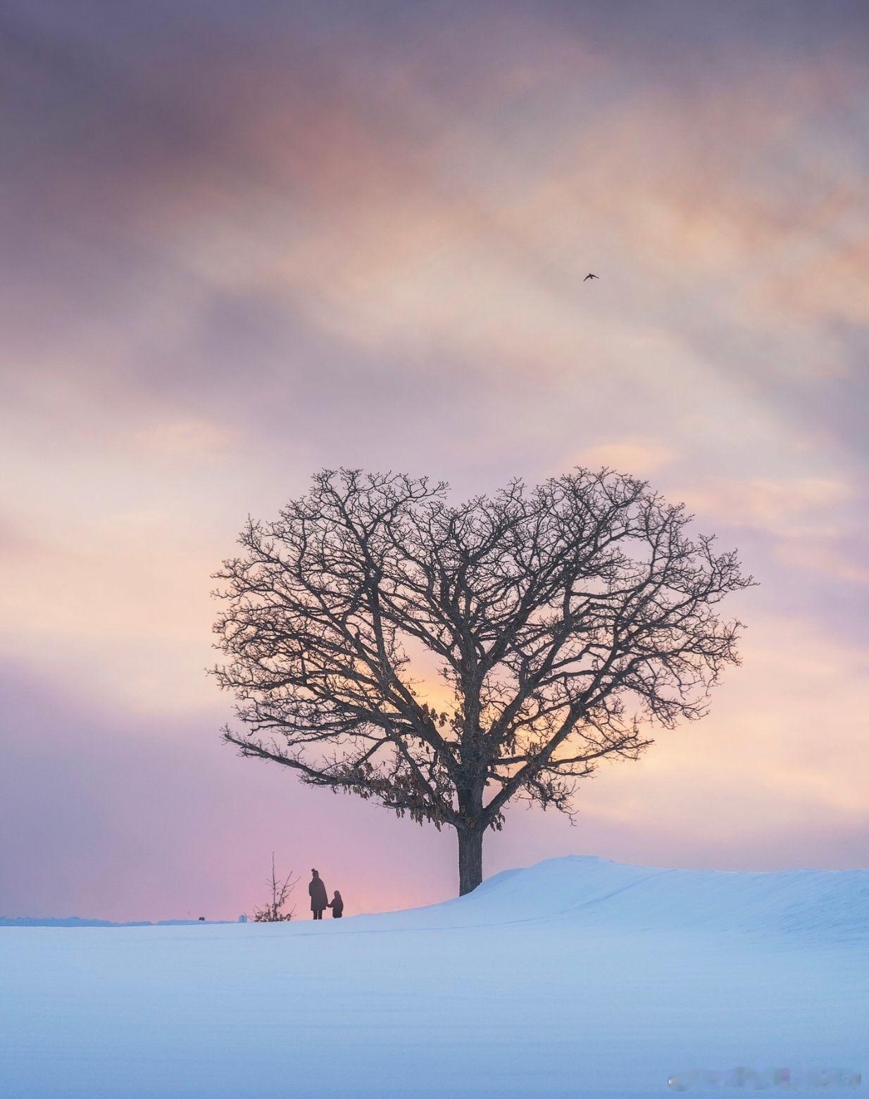 “我不是这头发，我不是这皮肤，我是居住其中的灵魂。”——鲁米 