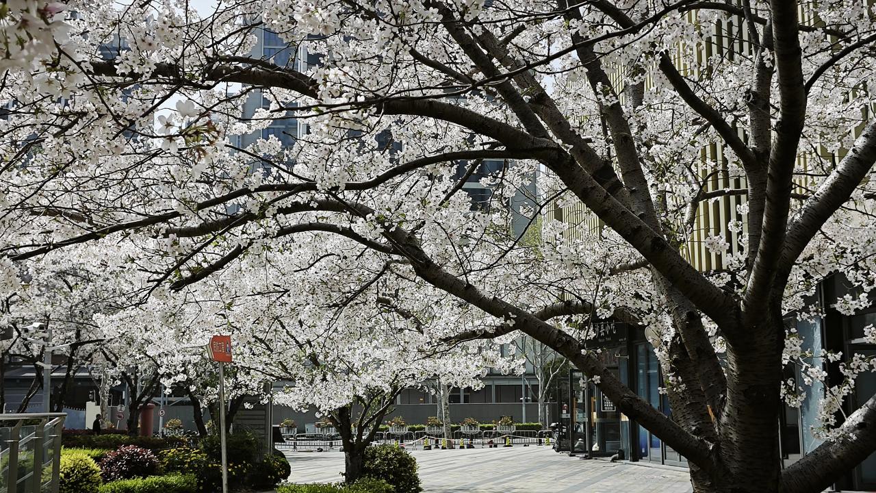 周三开盘前瞻
 
周三A股怎么走？上证指数就盯一条线：5日均线！周二缩量就是大家