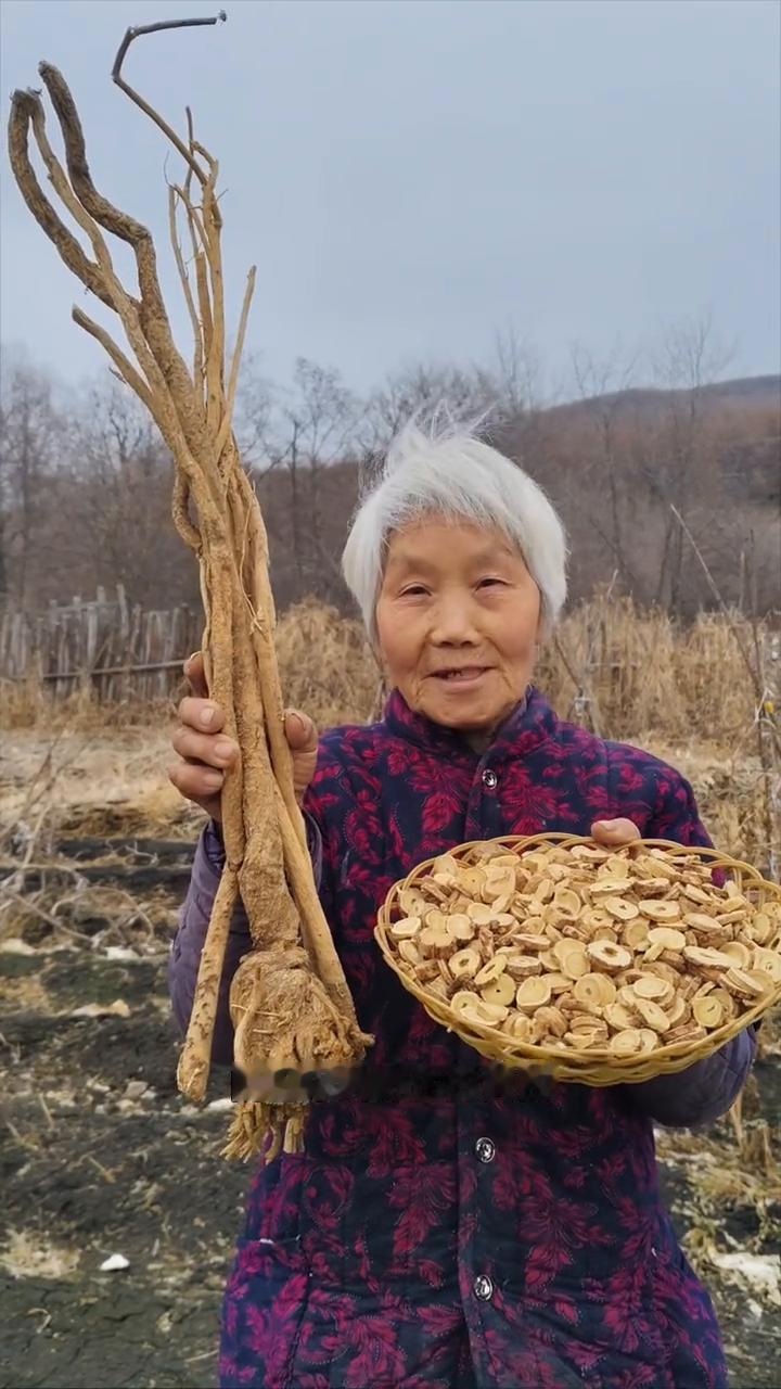 黑龙江原始大森林，寒带的黄芪盛黄金。
我家是小兴安岭的主脉，原始大森林。这是我们