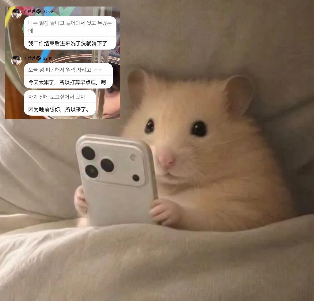 成冰冰睡前发消息belike：
有没有人懂连手机型号都一样是到底有多像…他咋能这