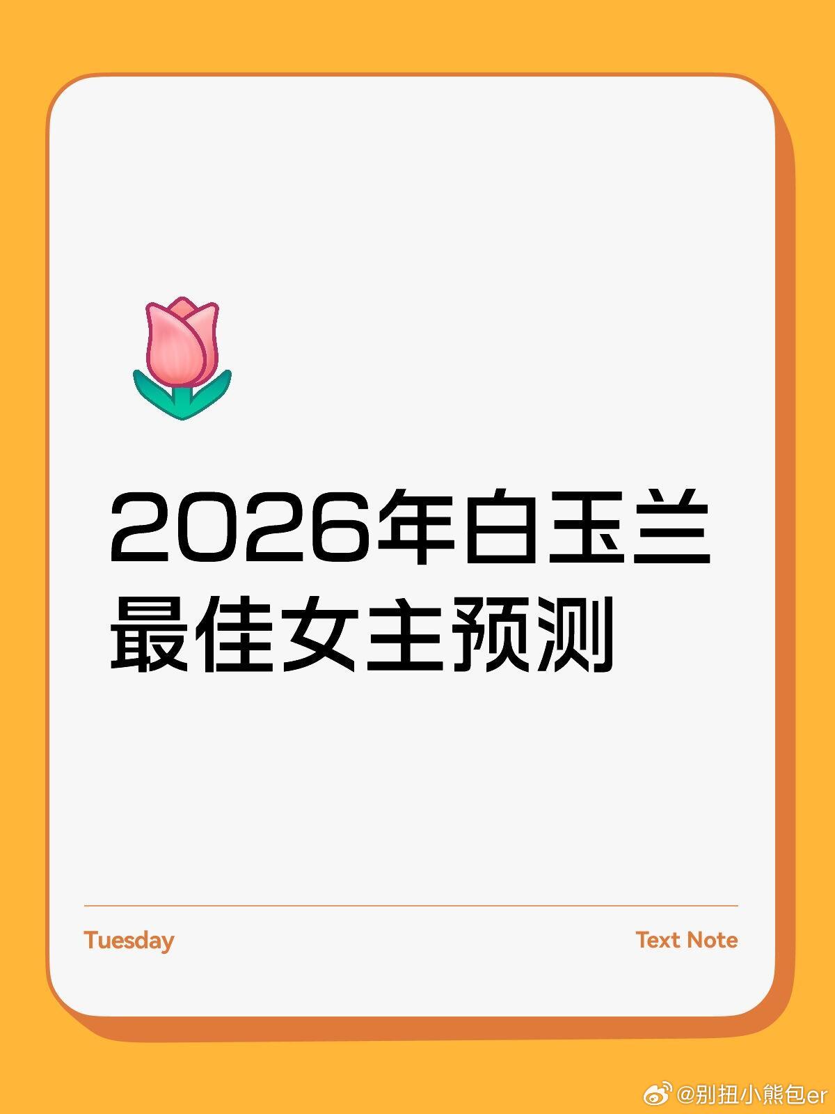 2026年白玉兰最佳女主预测提名:从收视、口碑和社会影响力方面考虑孙俪《蛮好的人