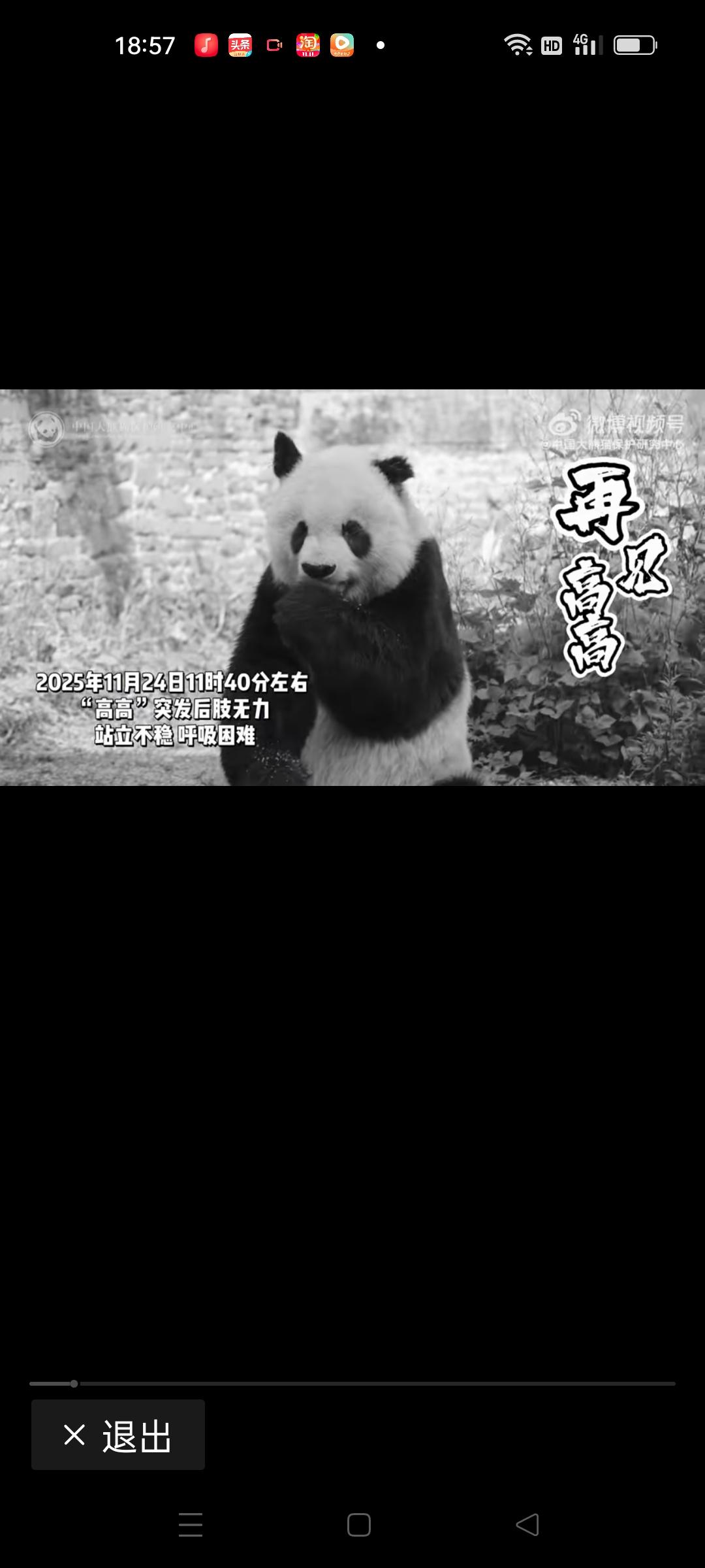 【33岁大熊猫高高离世：一代“萌宠”的温暖记忆与生命的感悟】

昨晚，一则令人心