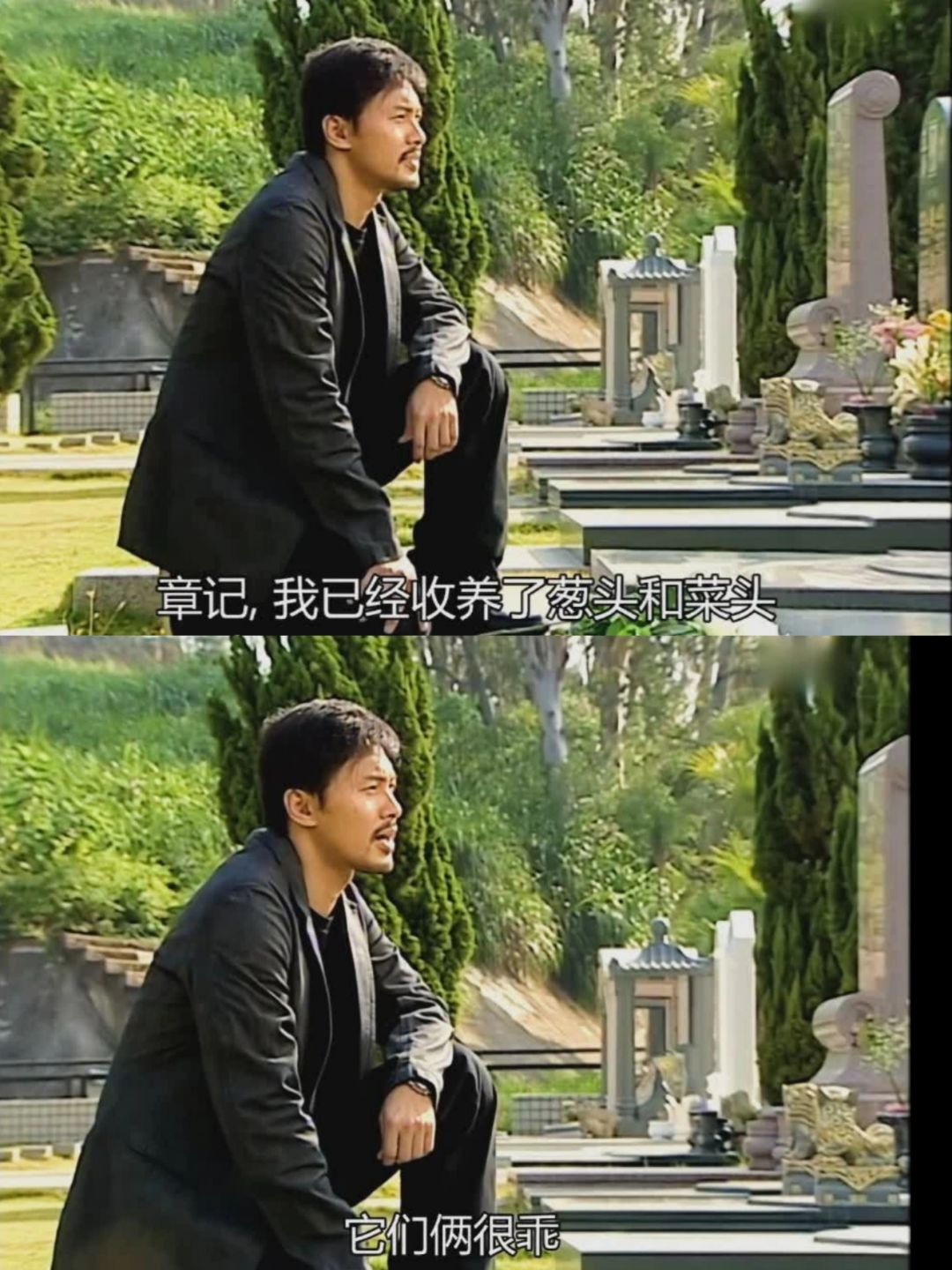 原来章记的🐕被沈雄收养了😭
