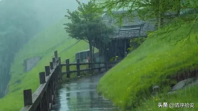 别困在情绪里纠结对错，生活从不是为了讨好谁。放下执念，专注自己，把日子过踏实，比