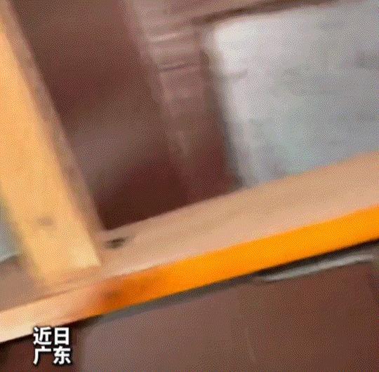 广东，一男子三点睡得正香时，突然被一阵“呲呲呲”的杂音吵醒。据报道，他听了半天，