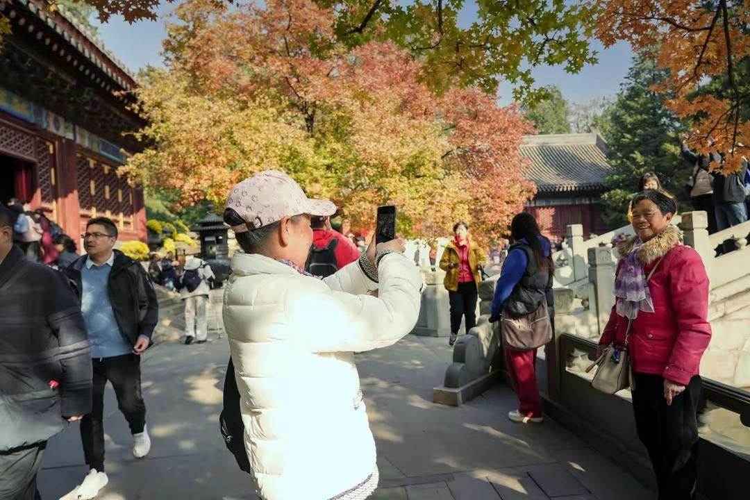 第36届香山红叶节邂逅重阳节，太有氛围感了！近日香山“消息树”已换装，山间色彩层