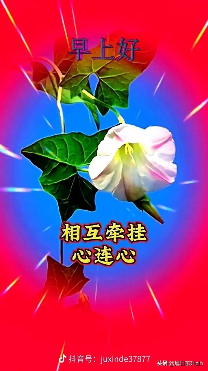 牵挂
是一束美丽的鲜花
思念
是内心情感的升华
相处
是彼此双向的奔赴
陪伴
是
