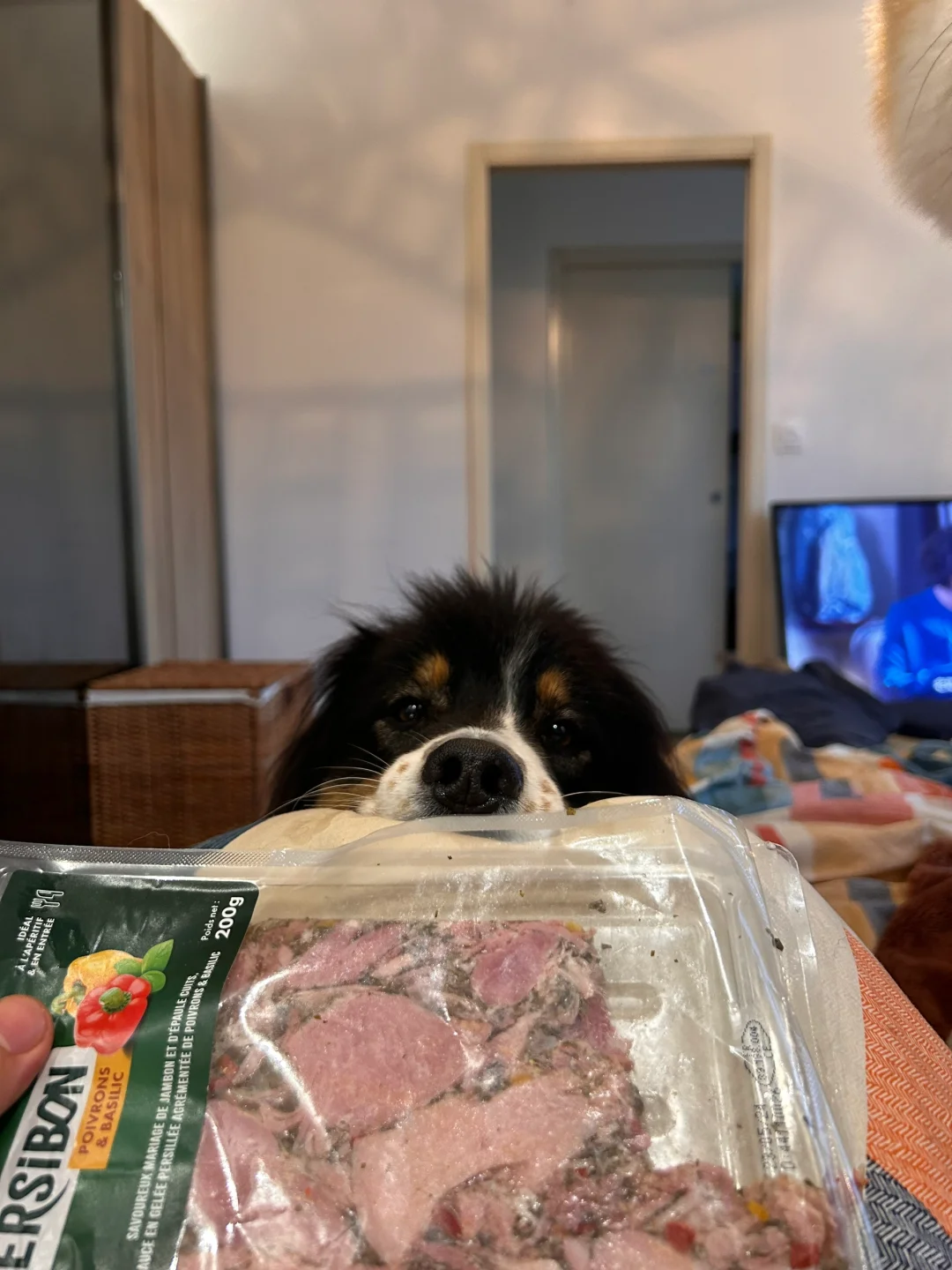 搁谁谁不给她一口肉！