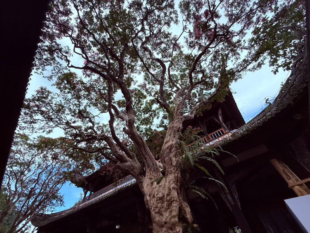 20年后 又来都江堰 都江堰·都江堰景区鱼嘴分水堤