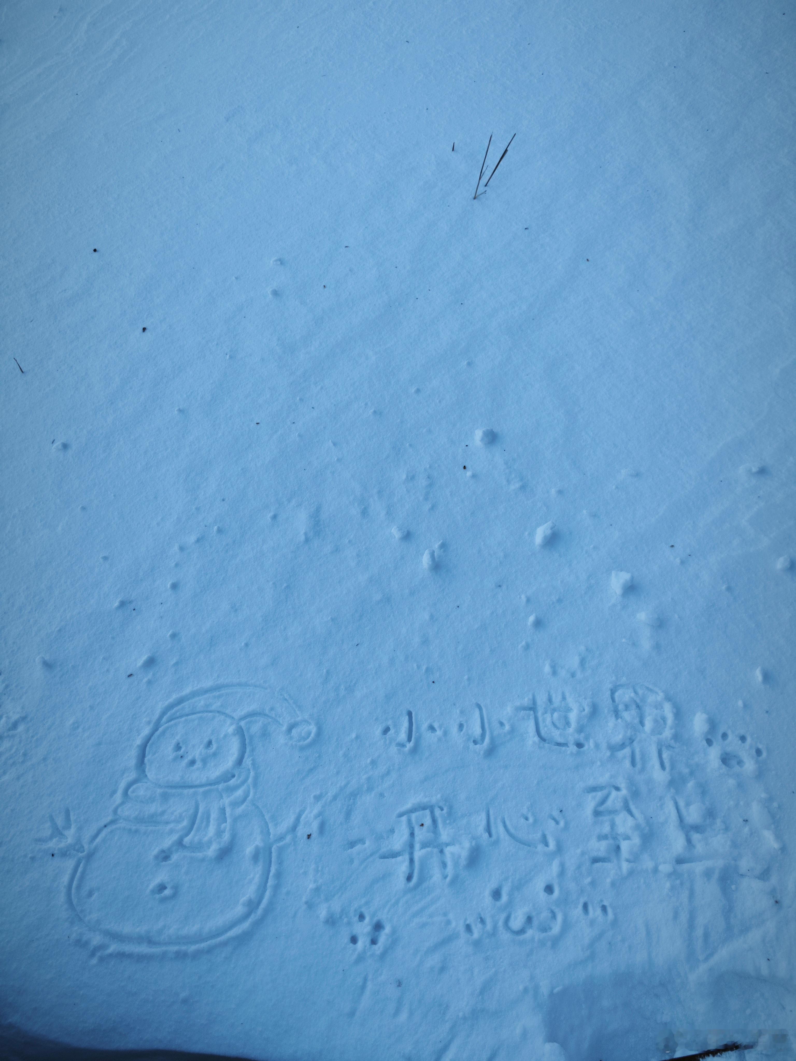 出门和不出门过的两种人生确实，像我经常出去自驾游徒步吸收山水间的灵气精神就会舒服