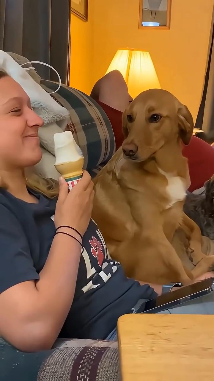 ·1、come on out down。
·2、i'm not panic dr