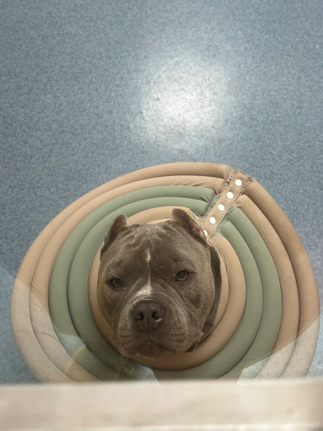 像不像幼儿园里最后的那个没人接的小孩😂