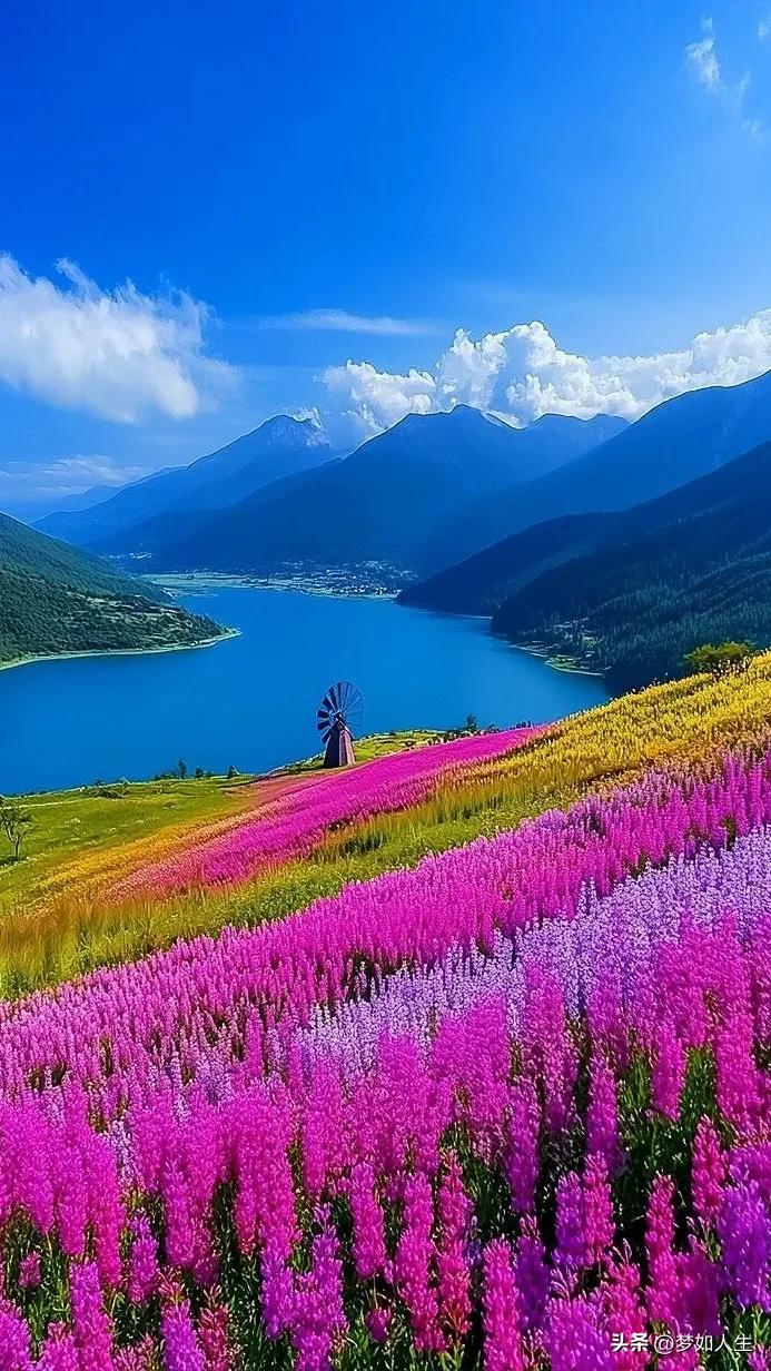 #秋日生活打卡季##治愈系美景照# #手机风景照分享# #分享图片景色# #美景