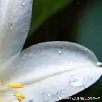 每日一善[超话]❤️每日一善 ❤️阳光信用 ​斗志和干劲很重要，但更重要的，是不