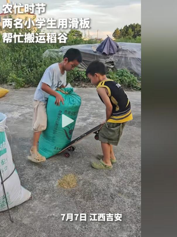 两个小学生把滑板一推，玩具变成了运粮车。农忙时节，他们帮家里搬稻谷，把稻谷放上滑