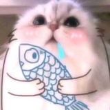 暖呼爱聚娱乐