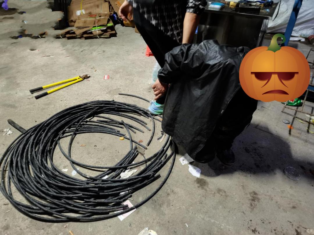 这帮家伙太大胆！想“赚快钱”剪电缆！这五人团伙作案，竟然将黑手伸进一工地盗窃电缆