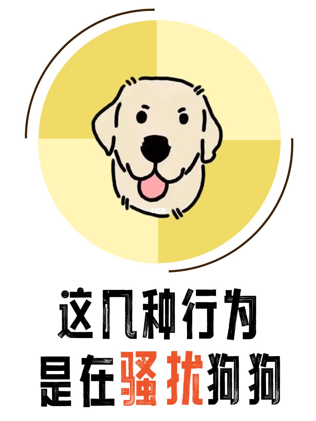 注意！咱们小狗狗也是有小脾气的！😤