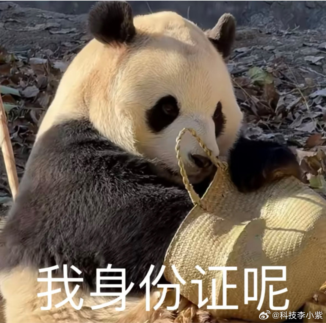 身份证里有八根半永久头发身份证上的照片真的是最丑的，头发特搞笑工作人员一直喊撩上