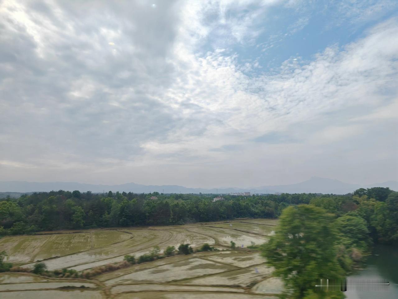 近日，有朋友在网络上分享他对激活经济的一些奇思妙想，听起来有点道理：
1、公职人