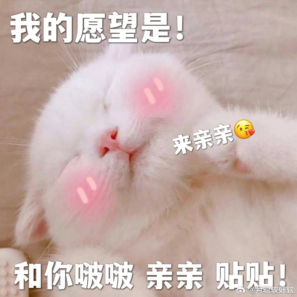 咪下午睡觉，运动，唱歌，吃饭，吃水果，洗澡是悠闲咪