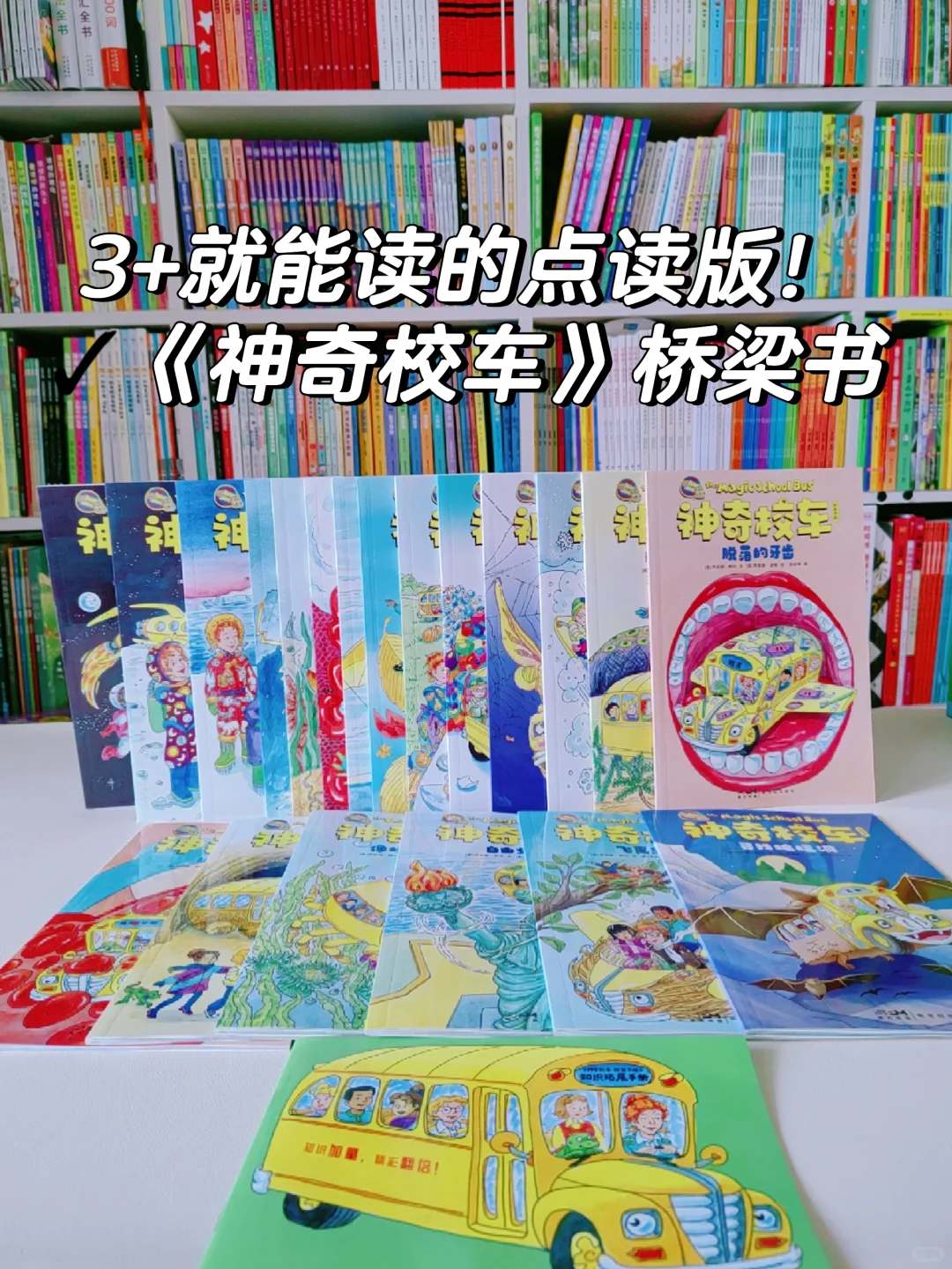 常年霸榜的《神奇校车》出了桥梁书？能点读