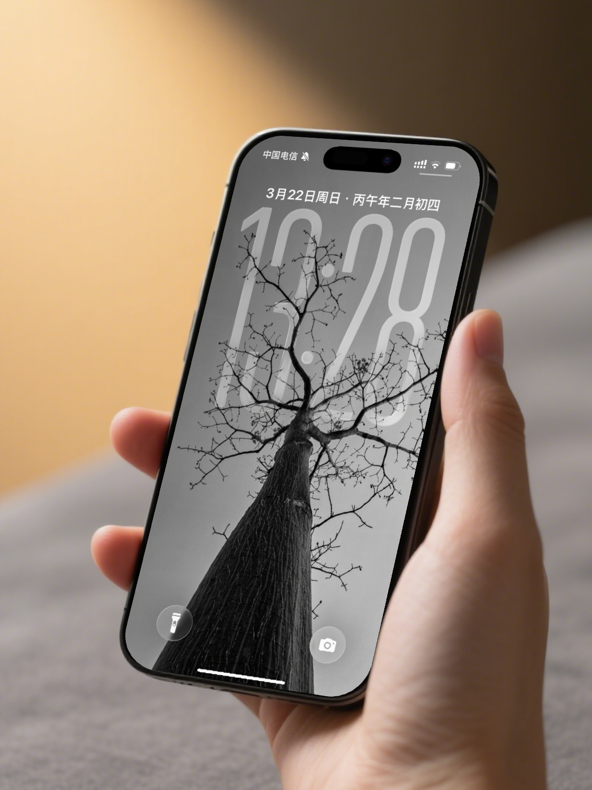 妈呀，这张景深壁纸效果好啊！