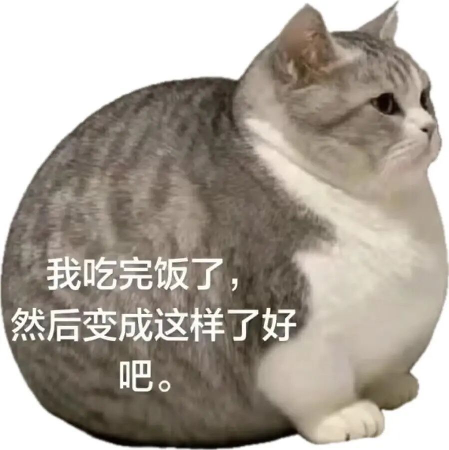 很神奇，切好的西瓜吃两块就饱了，但是拿勺子挖着吃能吃大半个 ​​​