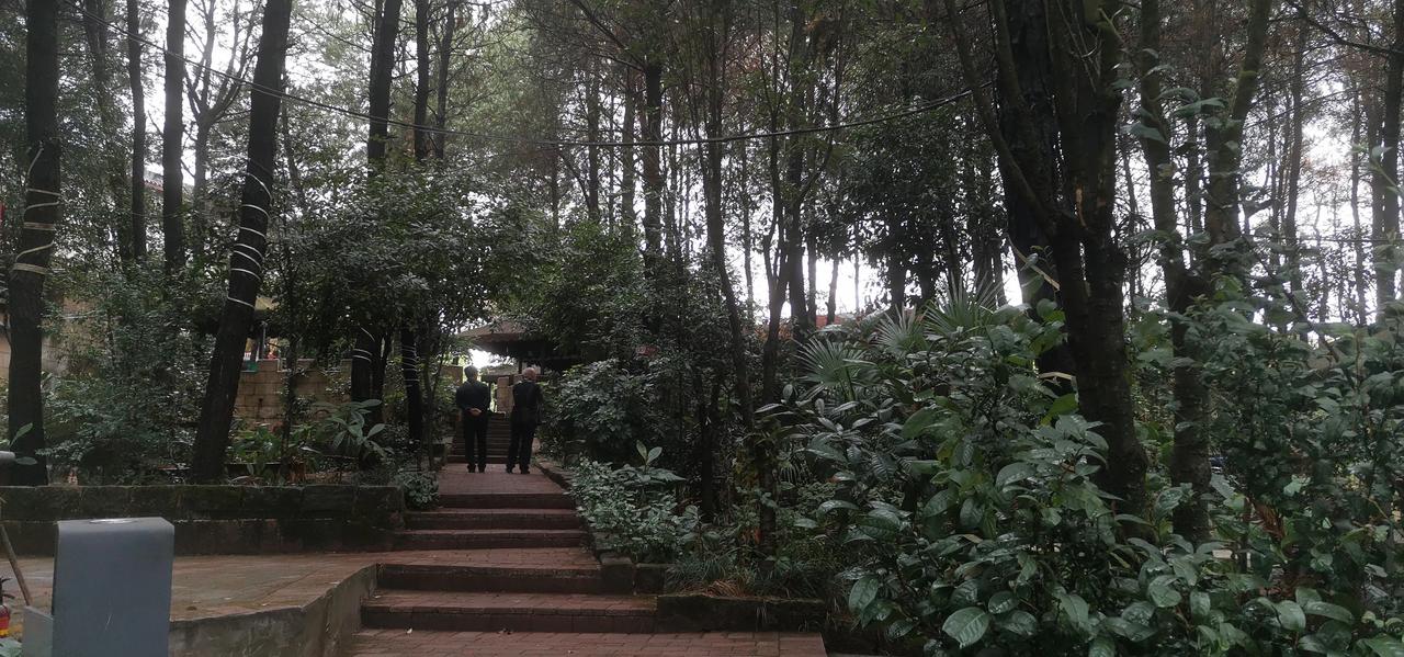 青山绿水郁葱葱
游见阁楼立林中
云雾缭绕阴冷袭
逍遥自在过此生