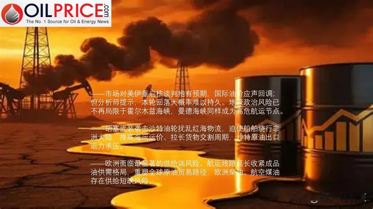 渣打银行：油市需将中东两大海运咽喉纳入定价逻辑

上周五，有消息披露巴基斯坦正在