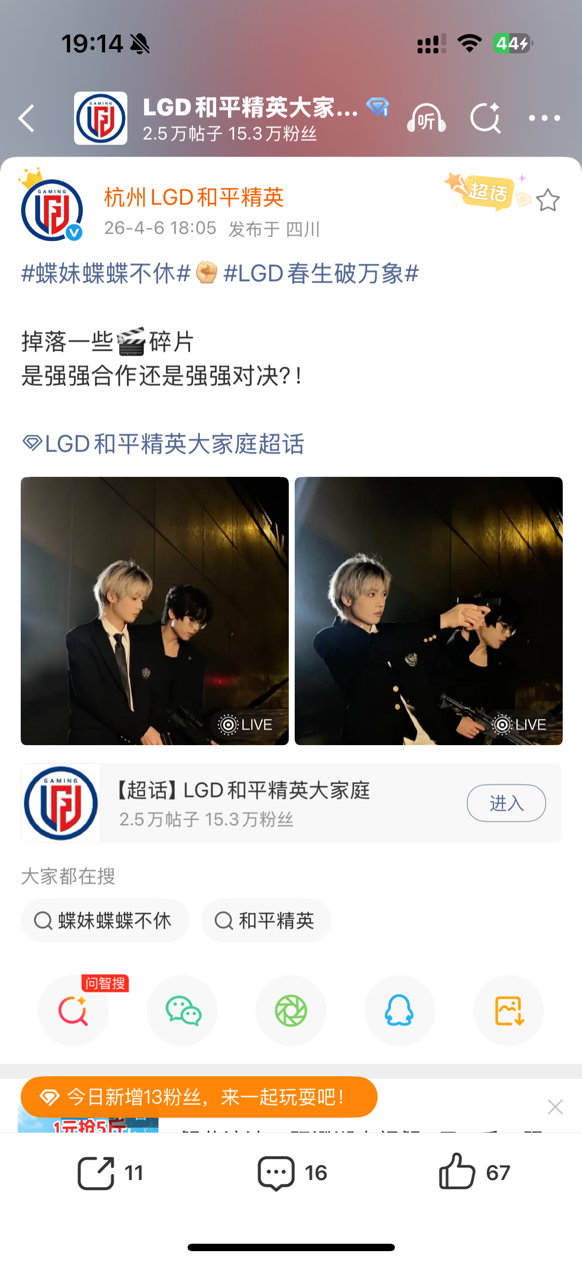 喜欢打游戏的猫  猫师傅有点帅嘞！2026pel春季赛