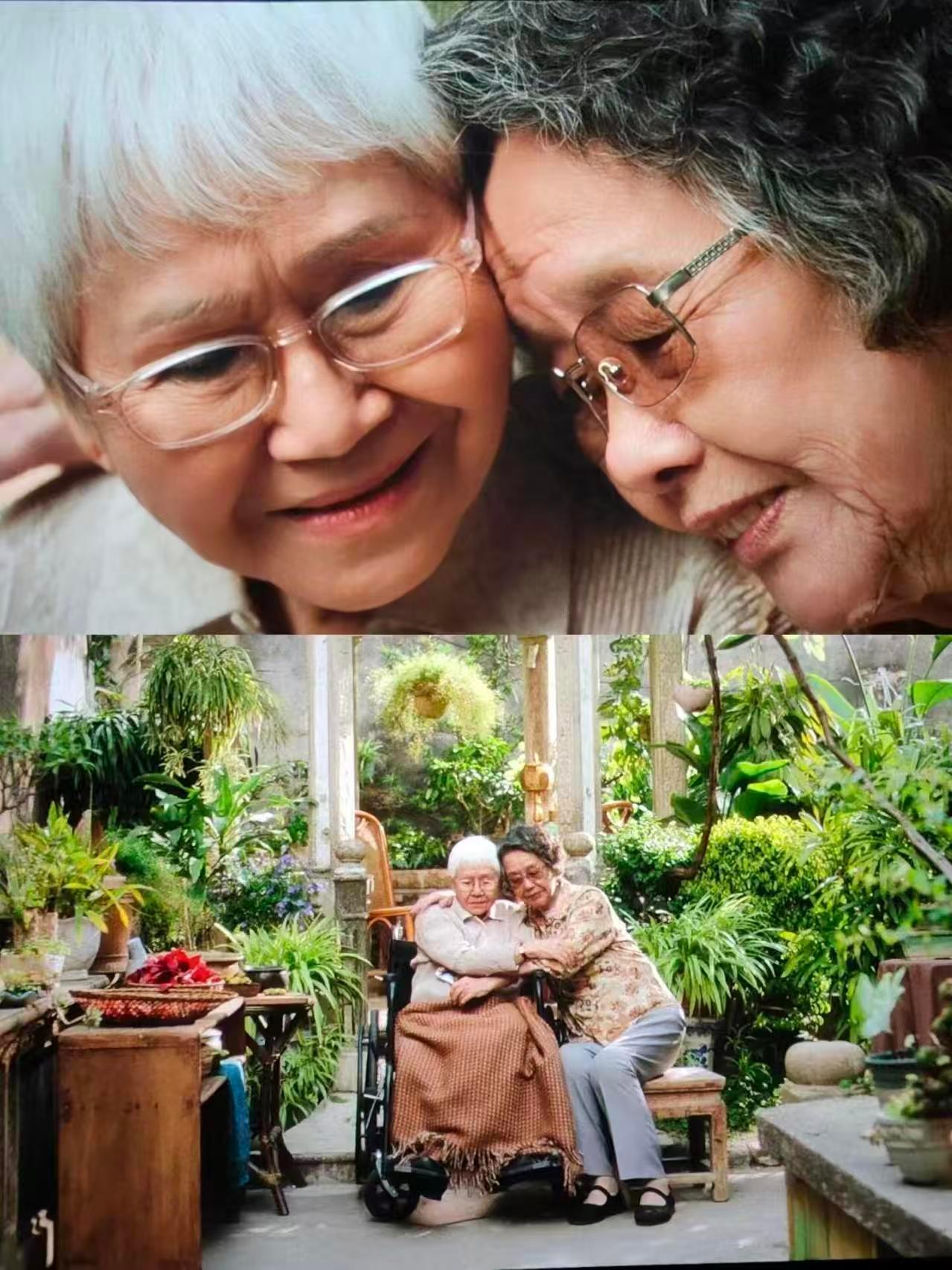 一纸侨批，半生牵挂。《给阿嬷的情书》票房破14亿✨ 朴素故事藏最深的爱，跨越山海