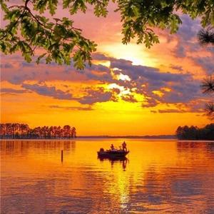 傍晚悠然看夕阳