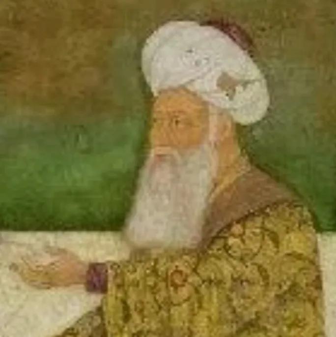齐亚丁·巴拉尼（英语：Ziauddin Barani，1285年—1357年），