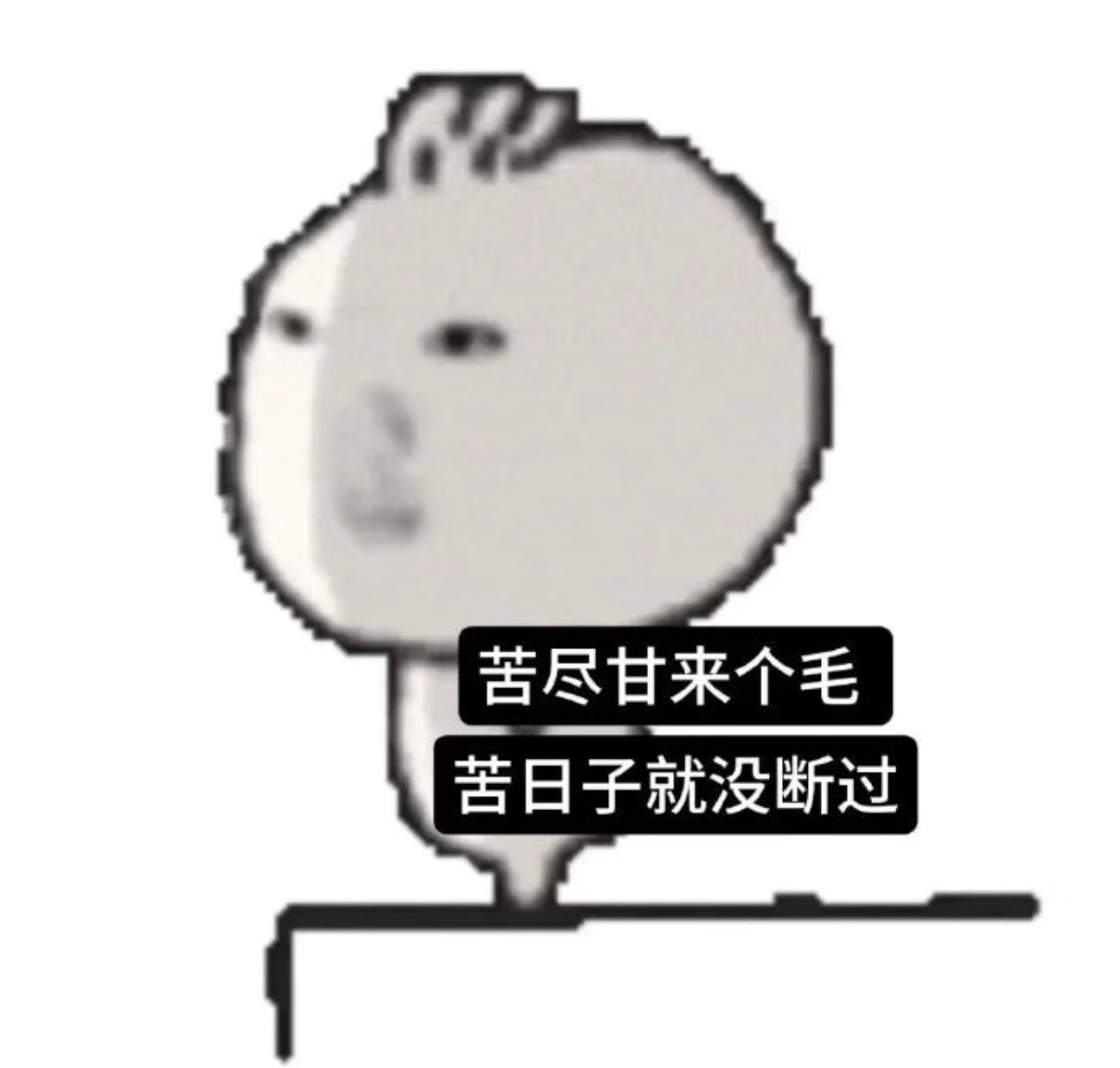 分享图片 