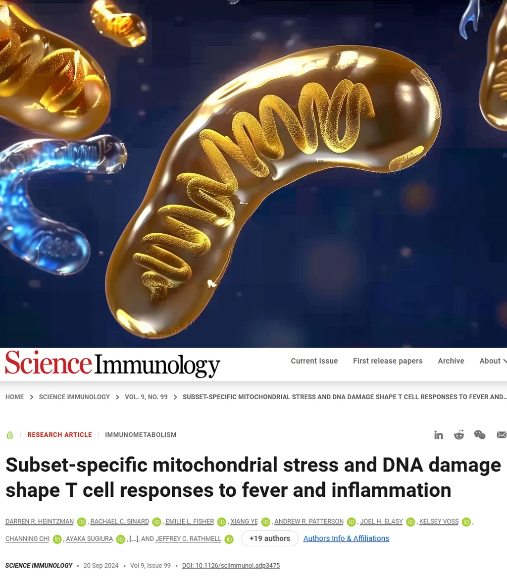 Science免疫重磅，发烧双刃剑-线粒体内乱