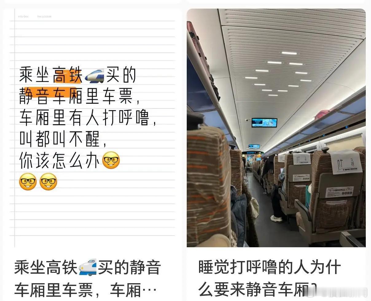 【12306回应在静音车厢打呼被提醒：若打呼声音过大，会适当提醒】近日，有网友发