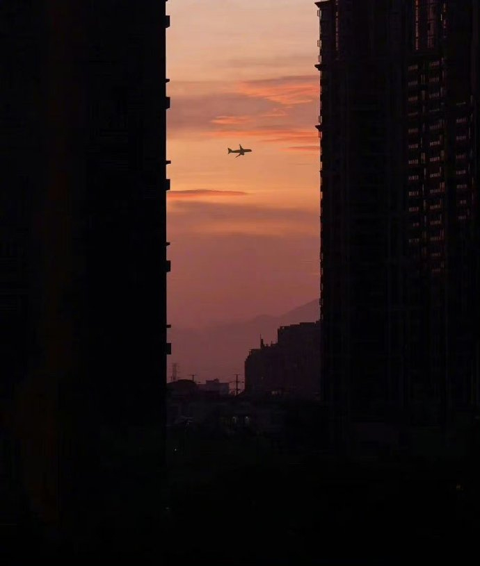 “  时间的绝情之处是，它让你熬到真相，却不给你任何补偿            