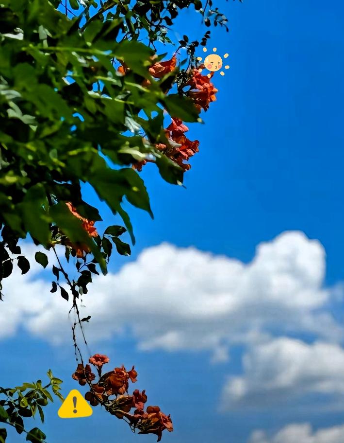 大家发现了没有？
 
今年天气太古怪了。
 
今天都已经8月26号了，按老黄历算