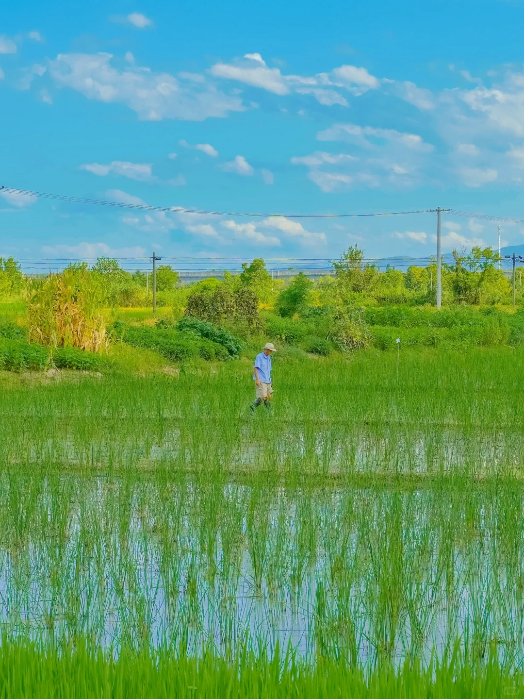 🍃｜你应该在乡野枕月吹风