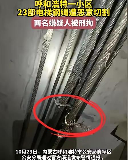 内蒙古呼和浩特祥瑞家园小区里的毛某某和高某某，他们故意破坏电梯钢丝绳索，小区里的