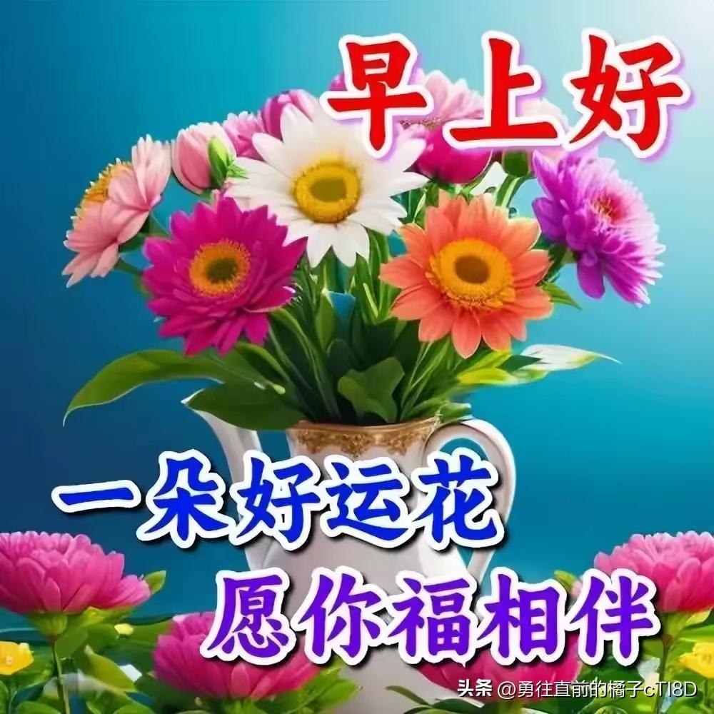 [玫瑰]早上好[玫瑰]🍃
 
晨光徐徐，岁月安然☀️
新的周四，不慌不忙，向阳