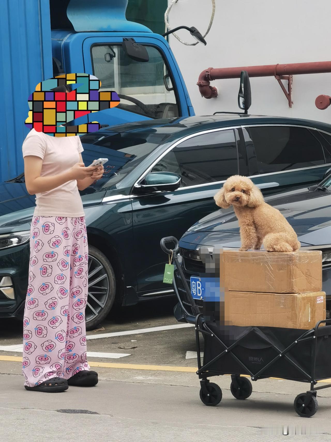 街角偶遇这般光景：女子低头划着手机，脸被马赛克藏进像素迷宫，一身粉睡裤印满卡通小