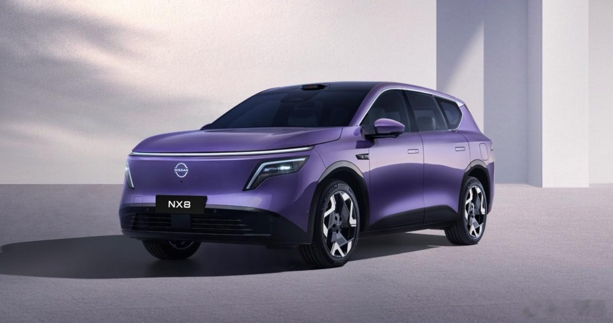 NX8东风日产中大型新能源SUV2 月 5 日晚， NX8 在工信部第 402 